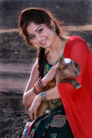 Madhavi Latha Hot Photoshoot Photos